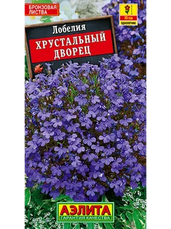 Интернет-магазин Wildberries: широкий ассортимент товаров - скидки каждый день!