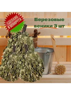 Березовые веники для бани и сауны