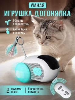 Интерактивная игрушка догонялка для кошек