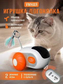 Интерактивная игрушка догонялка для кошек