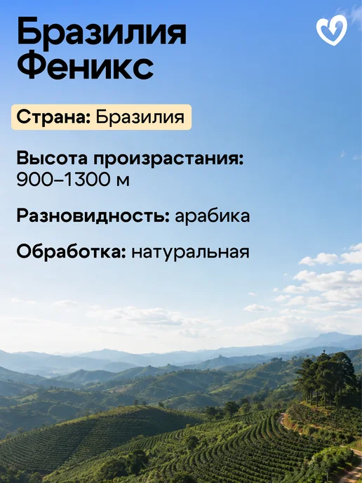 Стрелка кофе Дрип кофе молотый арабика 100%, Руанда Мутетели, 6шт х11,5гр, 11,5 г, фото 2
