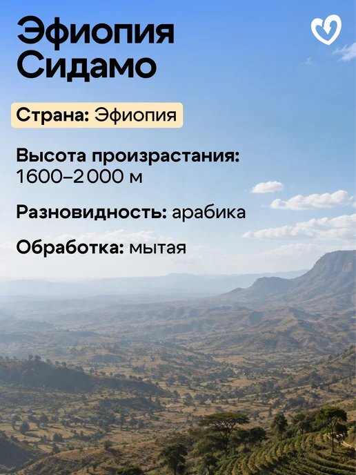 Стрелка кофе Дрип кофе молотый арабика 100%, Руанда Мутетели, 6шт х11,5гр, 6 шт, 11,5 г, фото 2