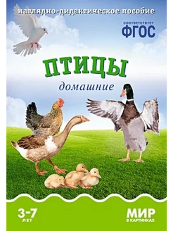 Мир в картинках. Птицы домашние. 3-7 лет