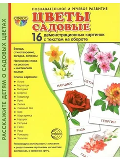 Цветы садовые. 16 дем. картинок. 17.4 х 22 см