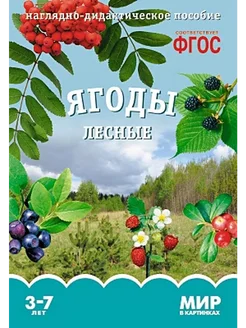 Ягоды лесные. Наглядно-дидактическое пособие. 3-7 лет