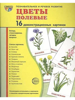 Цветы полевые. 16 дем. картинок. 17.4х22 см