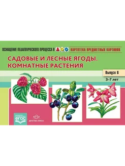 Садовые и лесные ягоды. Комнатные растения. 3-7 л. Выпуск 6