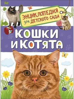 Кошки и котята