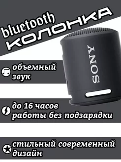 Колонка портативная SRS-XB13