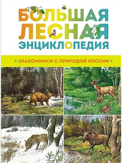 Большая лесная энциклопедия. Знакомимся с природой России