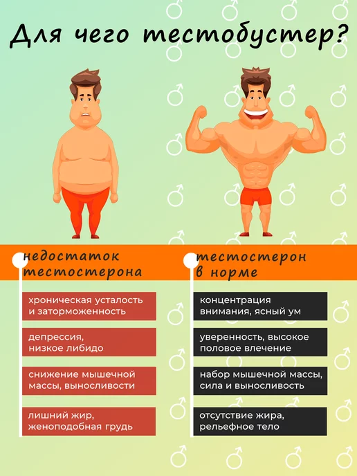 KultLab Тестостерон для мужчин в капсулах, вариант, фото 3