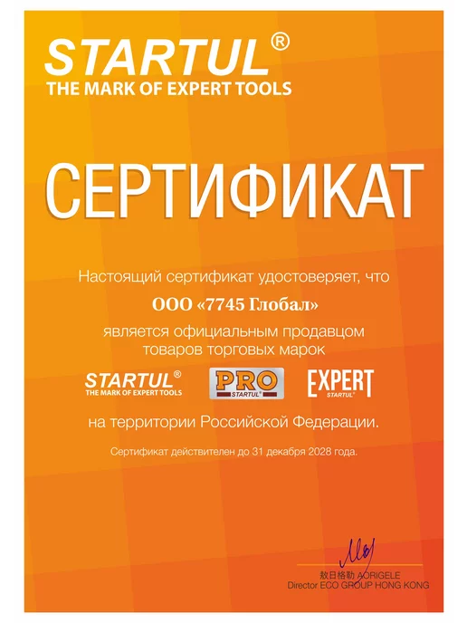 PRO STARTUL Клещи зажимные с фиксатором 250 мм прямые губки, серый, фото 6