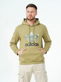 Толстовка с капюшоном утепленная Adidas TERREX