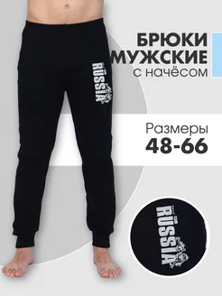 Спортивные штаны с начесом больших размеров Homely vibes 265370628 купить за 774 ₽ в интернет-магазине Wildberries