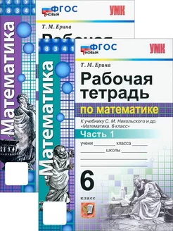 Математика. 6 класс. Рабочая тетрадь. В 2-х частях