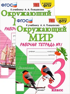 Окружающий мир. 3 класс. Рабочая тетрадь. В 2-х частях