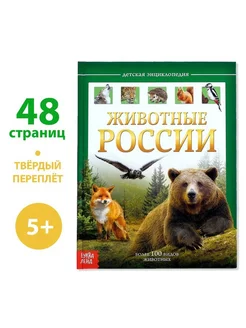 Детская энциклопедия в твёрдом переплёте "Животные России"