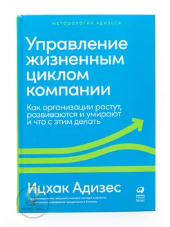 Управление жизненным циклом компании. Как управлять бизнесом