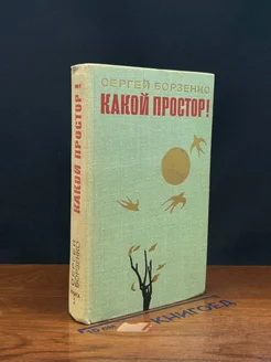 Какой простор! Книга 2. Бытие