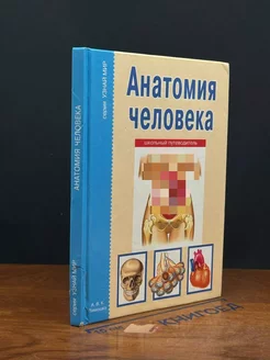 Анатомия человека