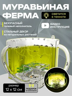 Формикарий муравьиная ферма ночник