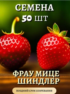 Семена клубники Фрау Мице Шиндлер, 50шт