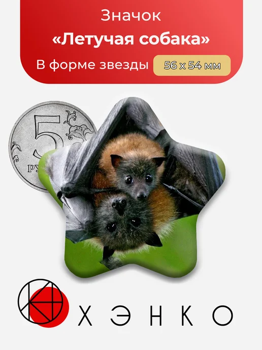 Летучая Собака вид летучей мыши