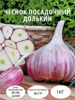 Чеснок посадочный Долькин озимый 1 кг Цветочная Лавка 266093140 купить за 382 ₽ в интернет-магазине Wildberries