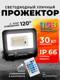 Прожектор светодиодный уличный RGB 30Вт IP65 2400Лм