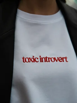 Футболка оверсайз с вышивкой Toxic introvert