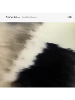 Виниловая пластинка Avishai Cohen - Into The Silence