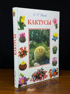 Кактусы