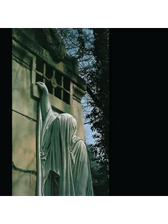 Виниловая пластинка Dead Can Dance – Within The Realm Of A D