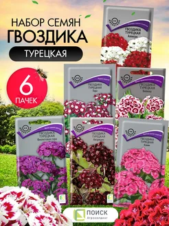 Семена гвоздики турецкой многолетней 6 шт