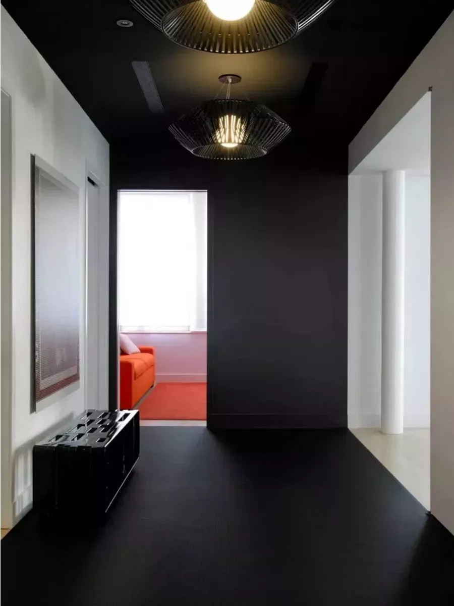 Краска для стен и обоев,черная фото 7