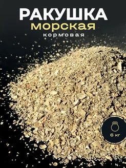 Ракушка морская кормовая