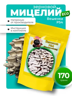 Зерновой мицелий вешенки штамм Р54