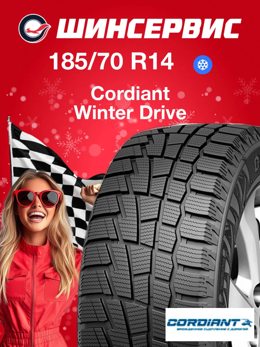 Шины зимние 185/70 r14 88T Winter Drive