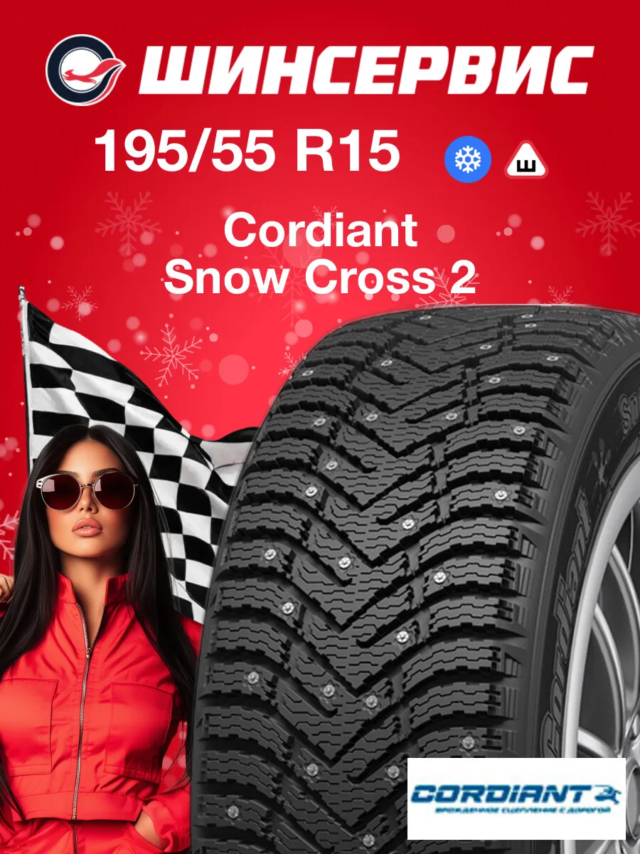 Шины зимние 195/55 r15 89T Snow Cross 2