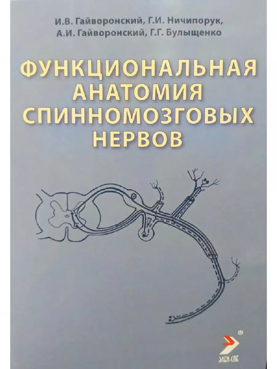 Функциональная анатомия спинномозговых нервов