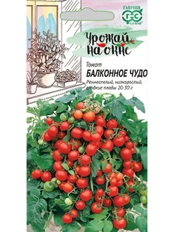 Семена-томат Балконное Чудо 0,05гр. Гавриш 267389422 купить за 92 ₽ в интернет-магазине Wildberries