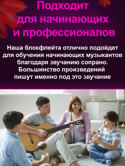 Check POINT Блокфлейта сопрано - музыкальный инструмент для детей, вариант, фото 6