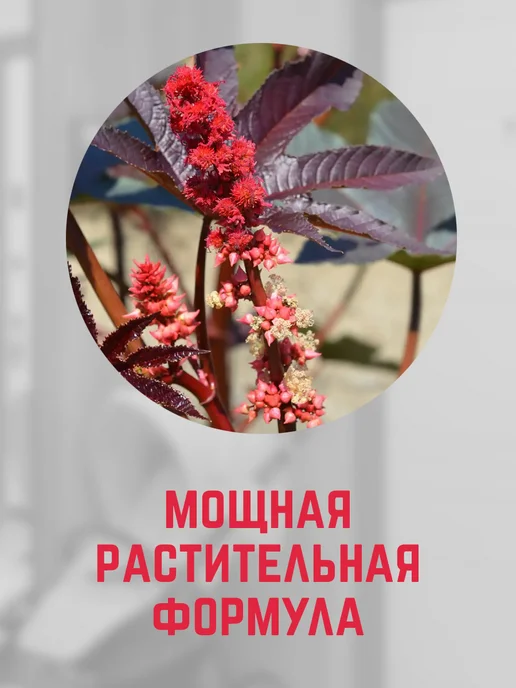 А-ТАК Нейтрализатор запаха мочи концентрат 1 10, белый, фото 8
