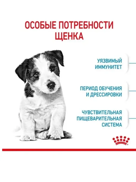 Сухой корм Royal canin Малых для собак, мелкие, щенки, 2 кг, фото 2