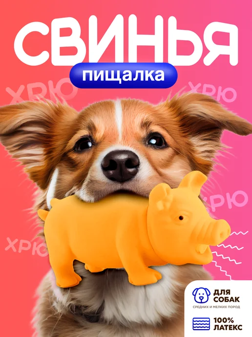 Свинка игрушка для собак и животных - хрюкает image