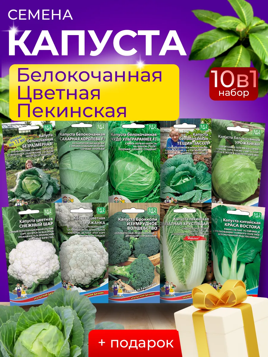 Семена капусты