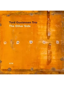 Виниловая пластинка Tord Gustavsen Trio - The Other Side