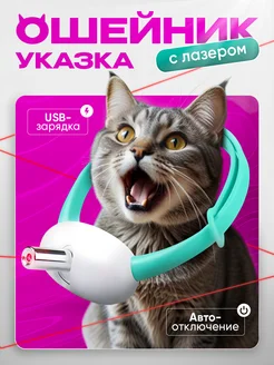 Игрушка для кошек и собак интерактивный ошейник лазерный