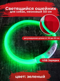 Светящийся ошейник для собак с usb зарядкой, длина 50 см Букан 268019801 купить за 486 ₽ в интернет-магазине Wildberries