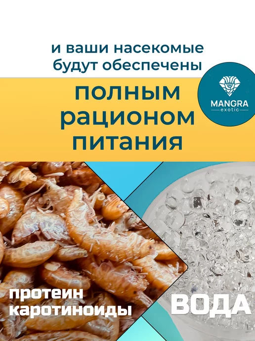 MANGRA exotic Набор корм сухой Гаммарус + вода для насекомых по 250мл, 250 мл, фото 3